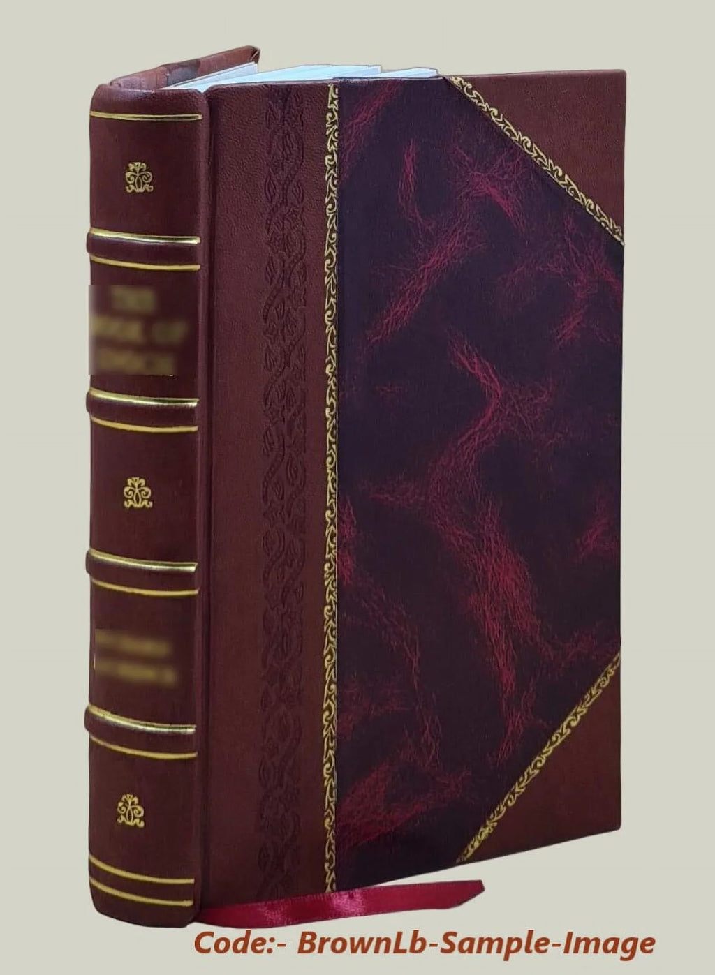 Noqu talanoa : stories from the Sizeouth Sizeeas / by Sizeundowner. 1896 [Leather Bound]