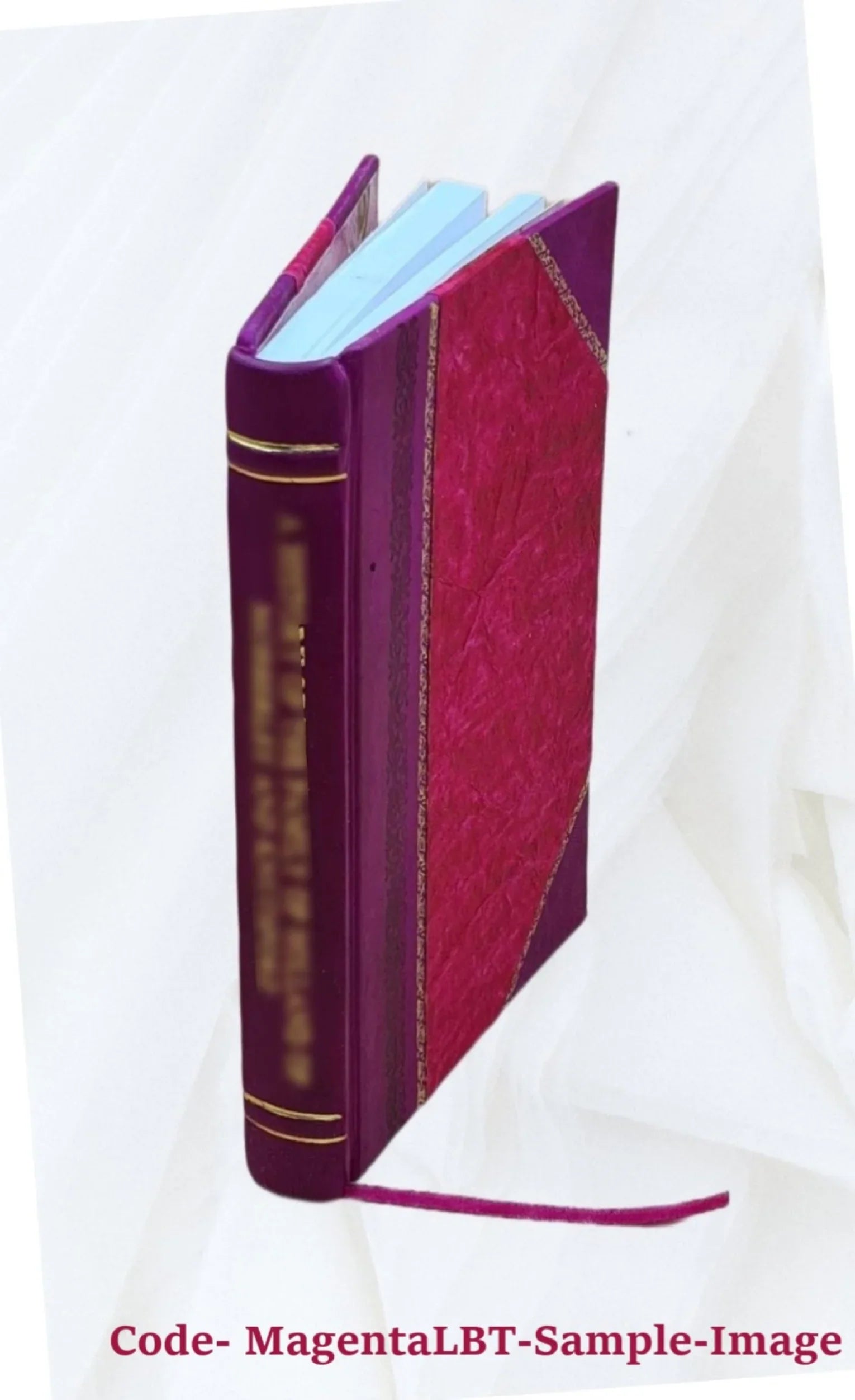 J.-B. Kléber : un fils de l'Alsace / par Auguste Echard 1883 [Leather Bound]