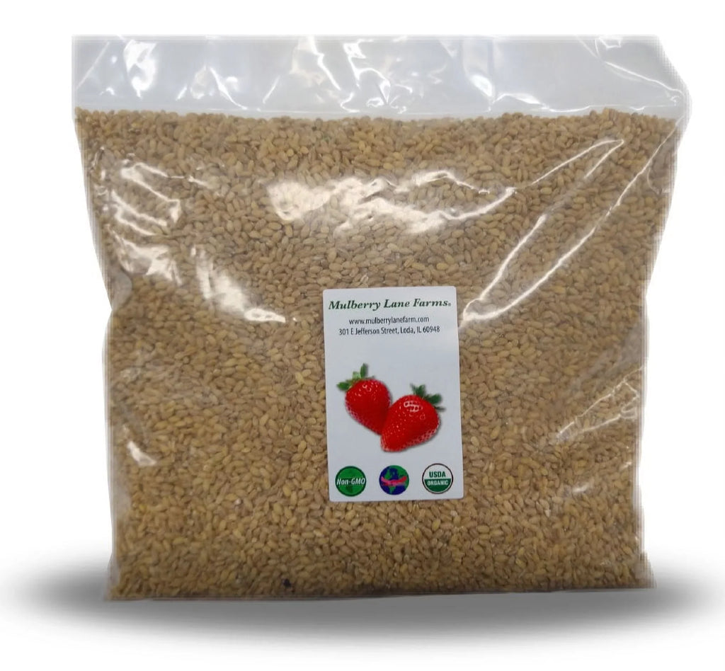 Hulled Barley 10 lbs (ten pounds) 100% USizeDA Certified Organic