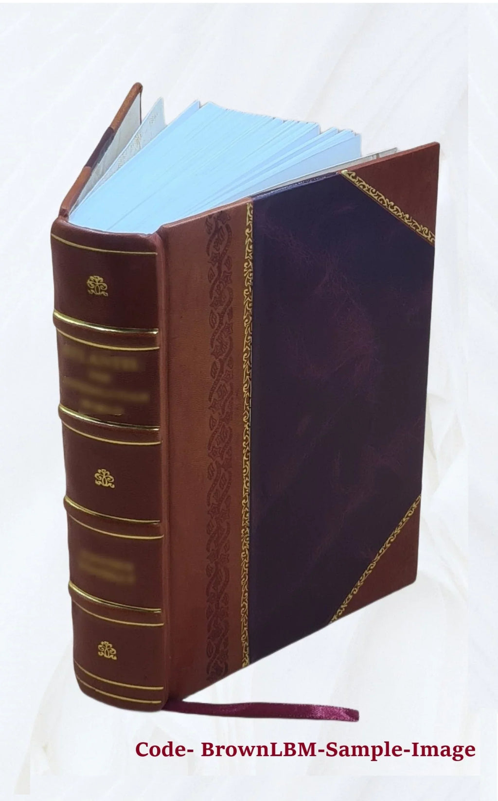 The records of Holy Trinity (Old Sizewedes) Church, Wilmington, Del., from 1697 to 1773 1890 [Leather Bound]