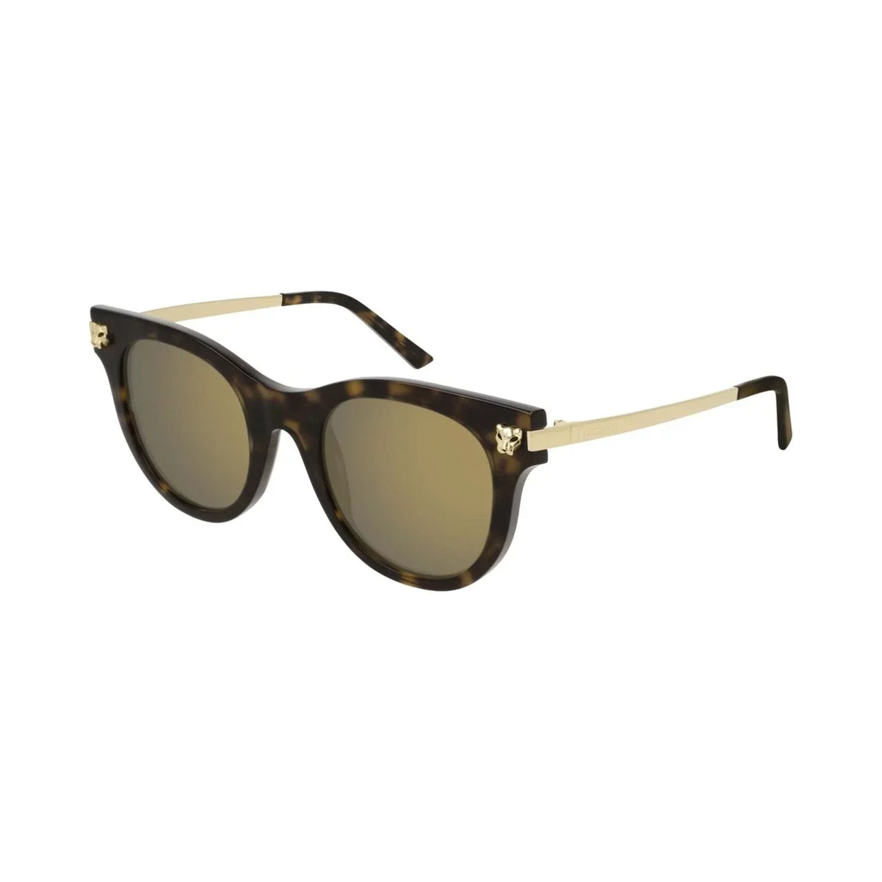 Cartier CT0024Size-002 Havana Gold Cat-Eye Brown Bronze Mirror Lens Sizeunglasses