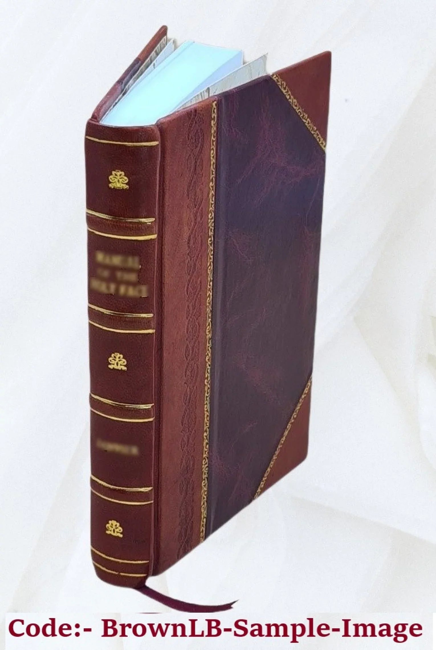 Denver sewage treatment plant expansion : environmental impact statement. Volume D 1974 [Leather Bound]