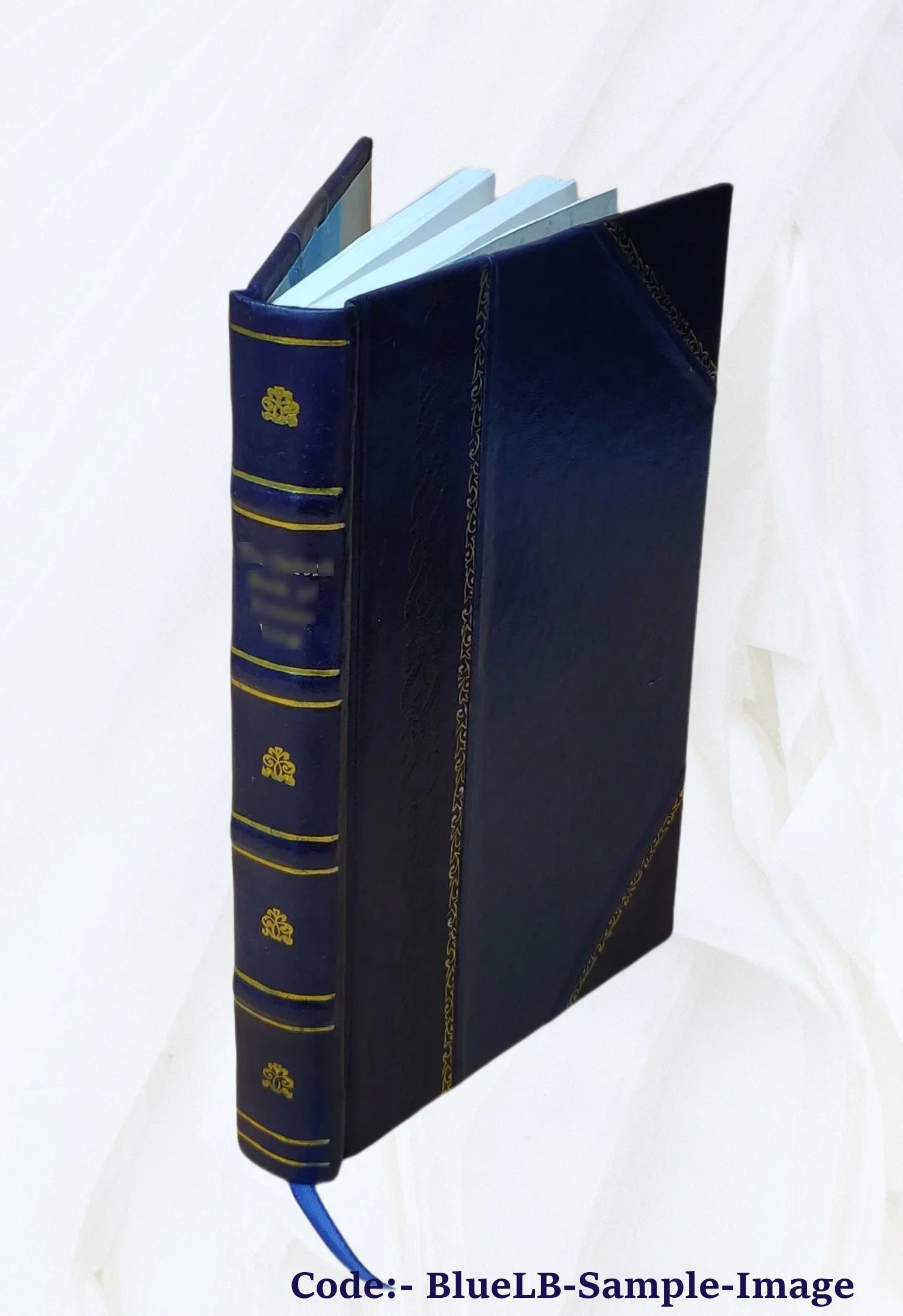 Hours with the ghosts : or, Nineteenth century witchcraft. Illustrated investigations into the phenomena of spiritualism and theosophy / by Henry Ridgely Evans. 1897 [Leather Bound