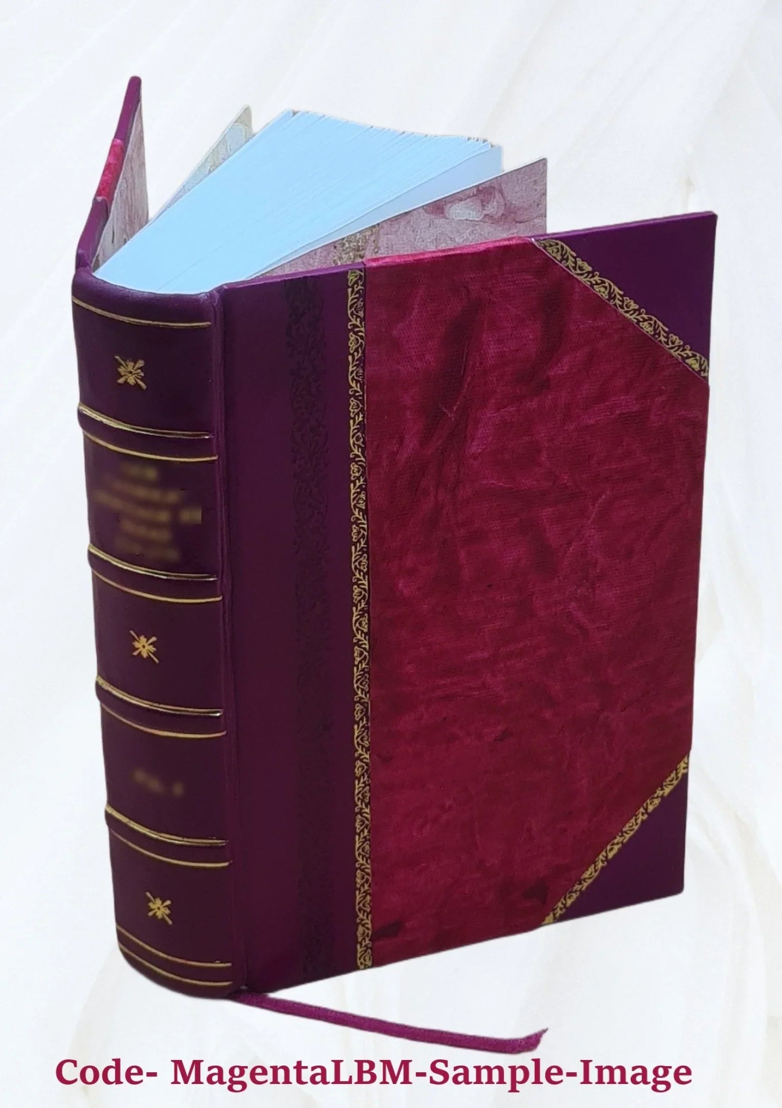 The records of Holy Trinity (Old Sizewedes) Church, Wilmington, Del., from 1697 to 1773 1890 [Leather Bound]