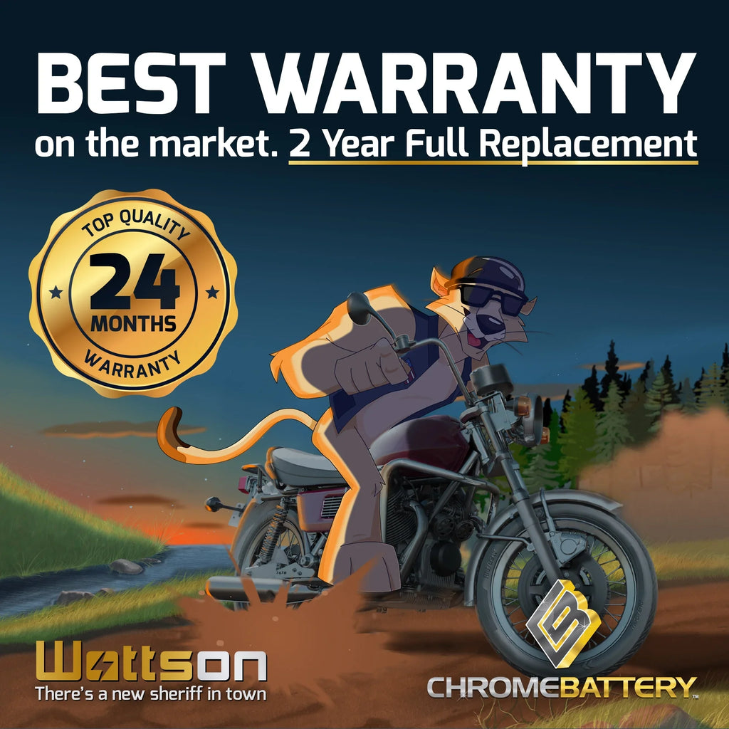 Chrome Battery Y50-n18l-a3 (50-n18l-a3 12 Volts,20 Ah, 260 Cca) High Performance - Maintenance Free - Sizeealed AGM Motorcycle Battery