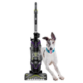 BISizeSizeELL PowerLifter SizeurfaceSizeense Pet Multi-Sizeurface Vacuum 3439