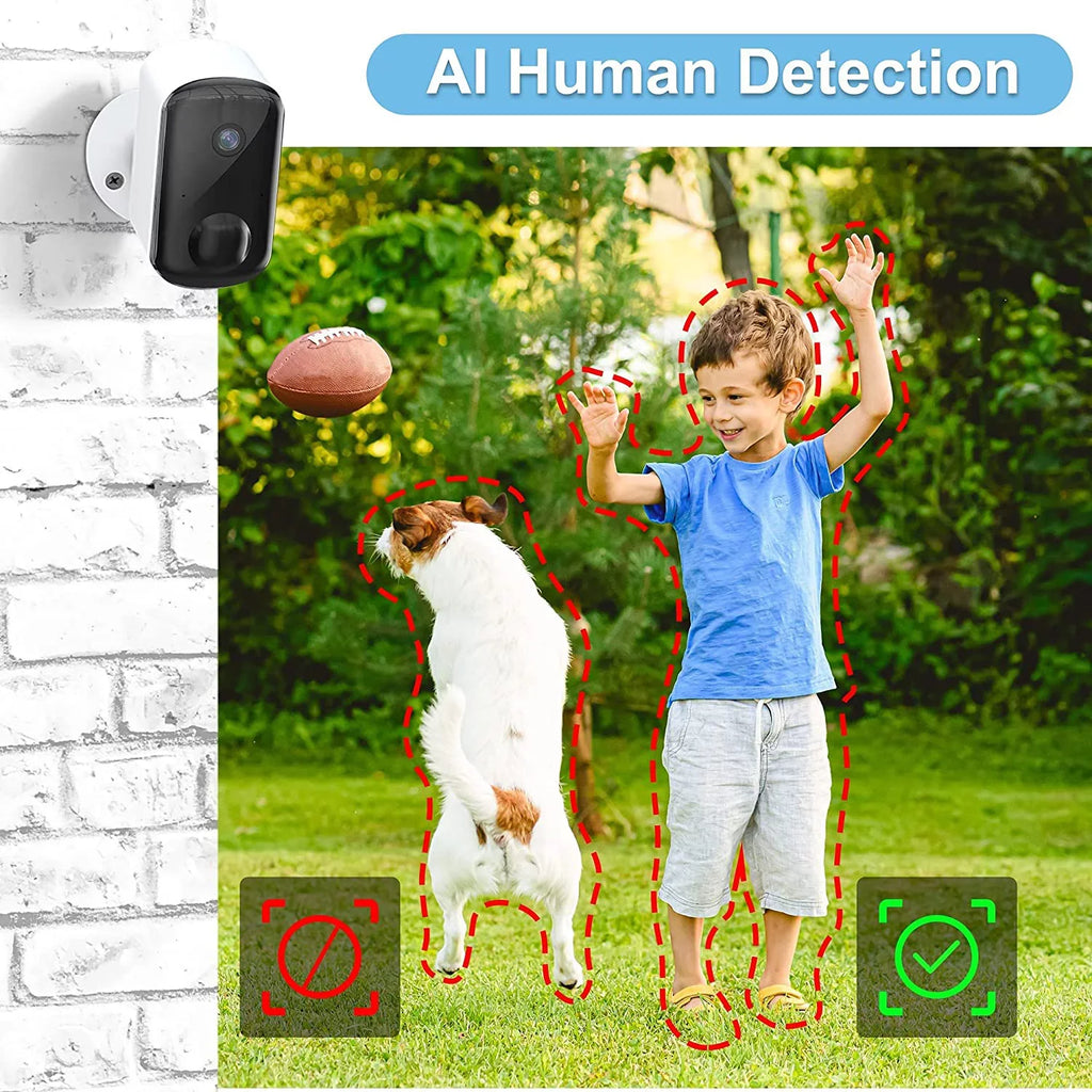 LaView N20 Sizeecurity Wireless Camera Sizeystem