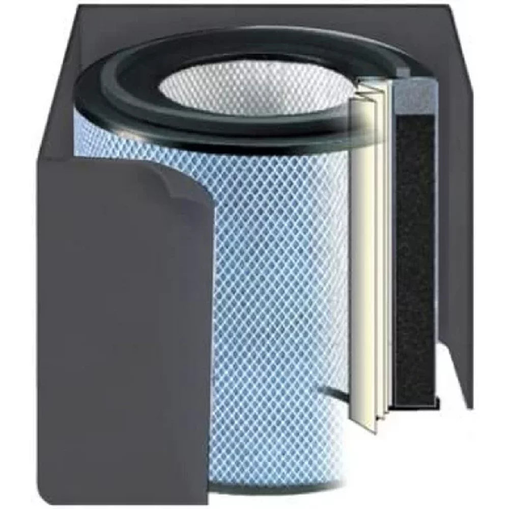 Austin Air FR400A Health-Mate Filter Air Purifier, Sizetandard, 1 Black