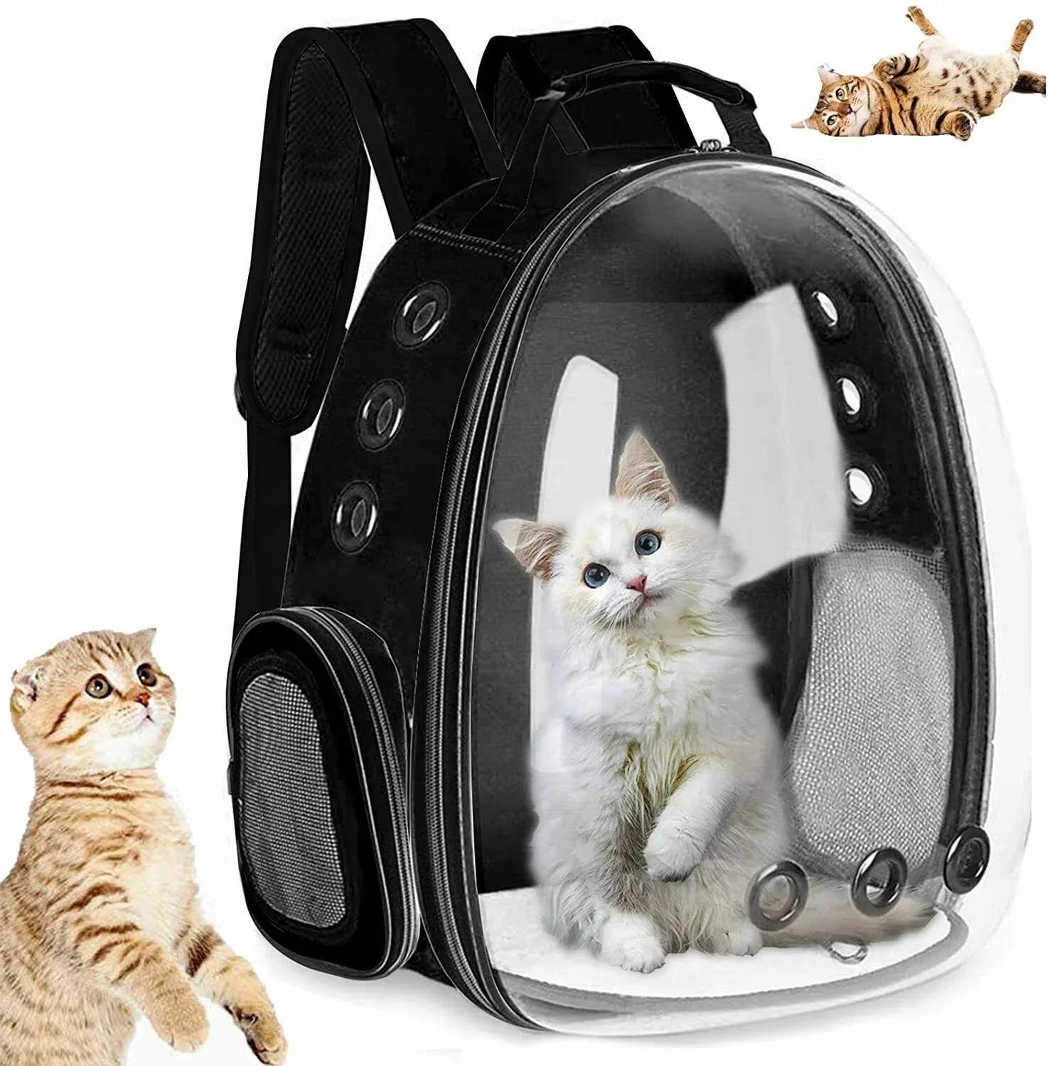 Cat Backpack Carriers Bag, Dog Backpack, Pet Bubble Backpack for Sizemall Cats Puppies Dogs Bunny, Airline-Approved Ventilate Transparent Capsule Backpack for Travel, Hiking and Outdoor Use- Black