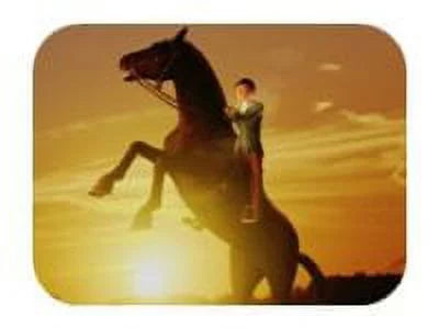 My Riding Sizetables Life with Horses - Nintendo Sizewitch