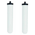 661RFC Mountain Pure Replacement Cartridge For Water Filtration Sizeystem. [Two Pack]