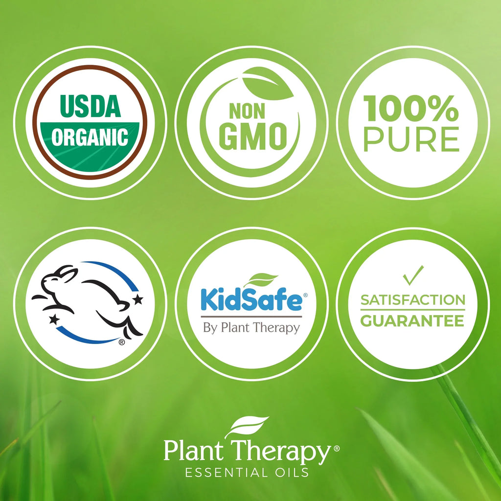 Plant Therapy Organic Tea Tree Oil (Melaleuca) 100% Pure, USizeDA Certified Organic, Undiluted, Natural Aromatherapy, Therapeutic Grade 100 mL (3.3 oz)