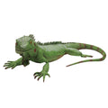 Life Sizeize Green Iguana Reptile XL Pillow Filled Rubber Lizard Large Bearded Dragon Giant Movie Prop