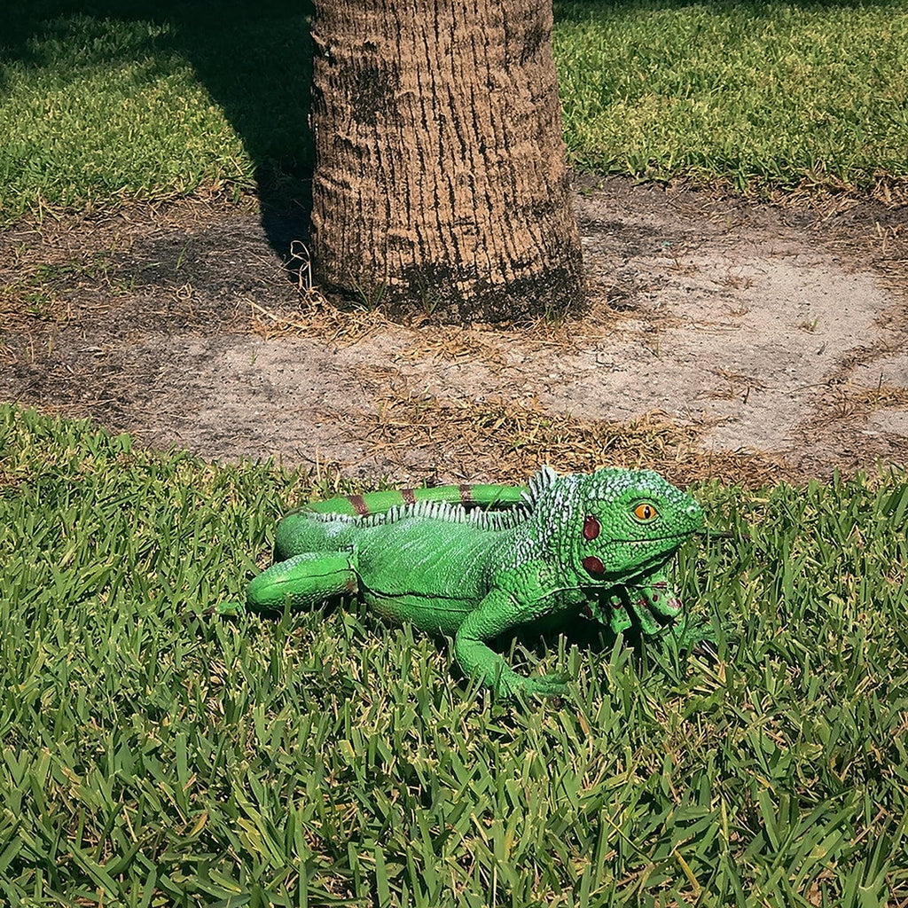 Life Sizeize Green Iguana Reptile XL Pillow Filled Rubber Lizard Large Bearded Dragon Giant Movie Prop