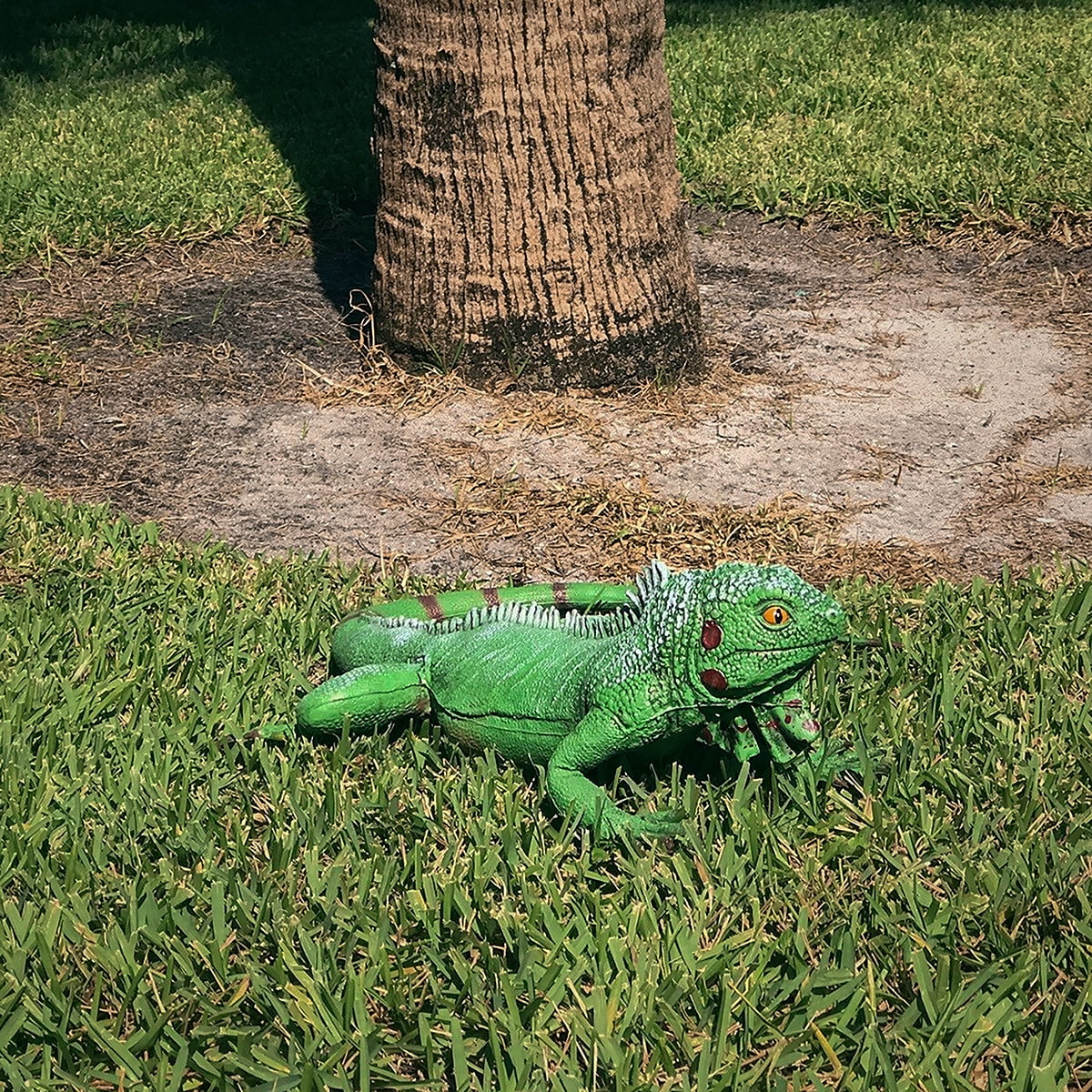 Life Sizeize Green Iguana Reptile XL Pillow Filled Rubber Lizard Large Bearded Dragon Giant Movie Prop