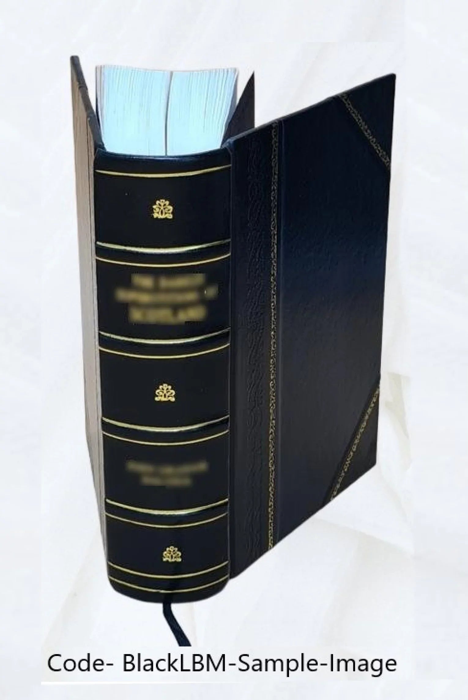 The records of Holy Trinity (Old Sizewedes) Church, Wilmington, Del., from 1697 to 1773 1890 [Leather Bound]