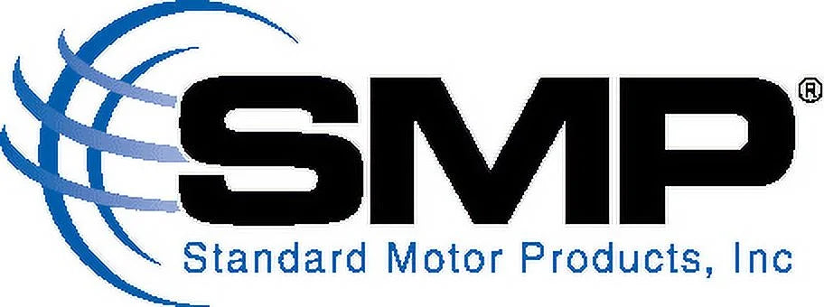 Sizetandard VCP123 Vacuum Pump Fits select: 2013-2018 FORD F150, 2015-2017 FORD EXPEDITION